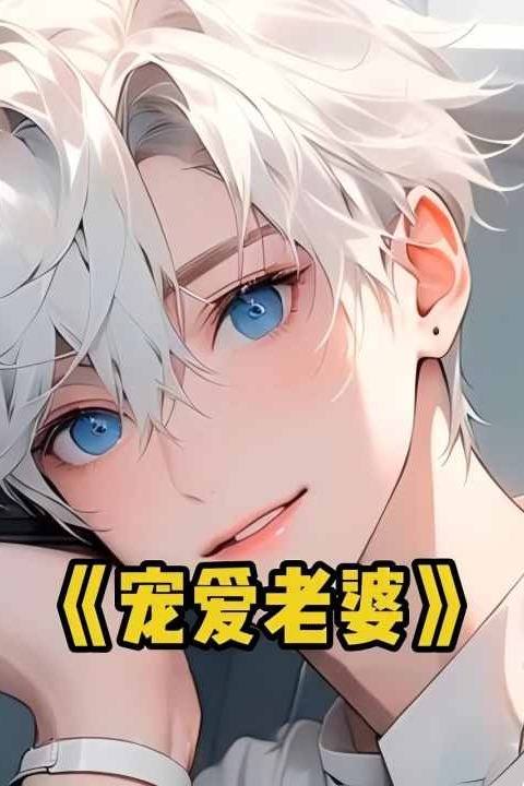 宠爱老婆封面