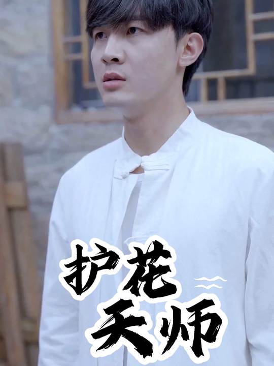 护花天师封面