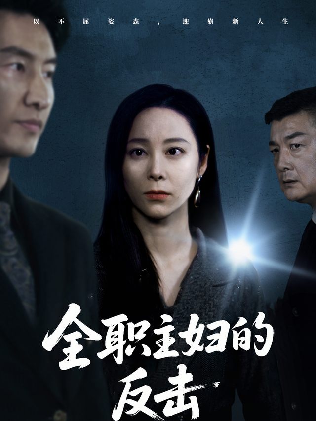 全职主妇的反击封面