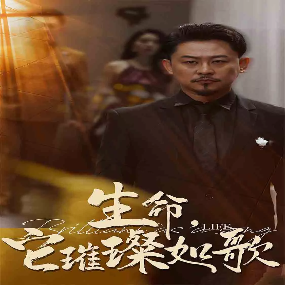 生命,它璀璨如歌封面