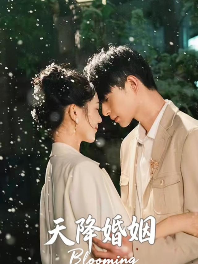 天降婚姻封面
