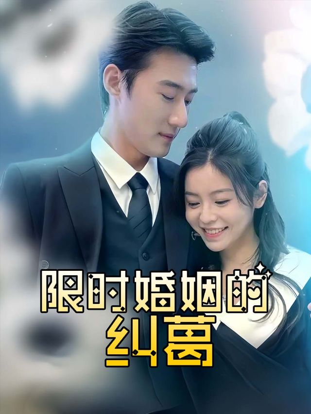 限时婚姻的纠葛封面