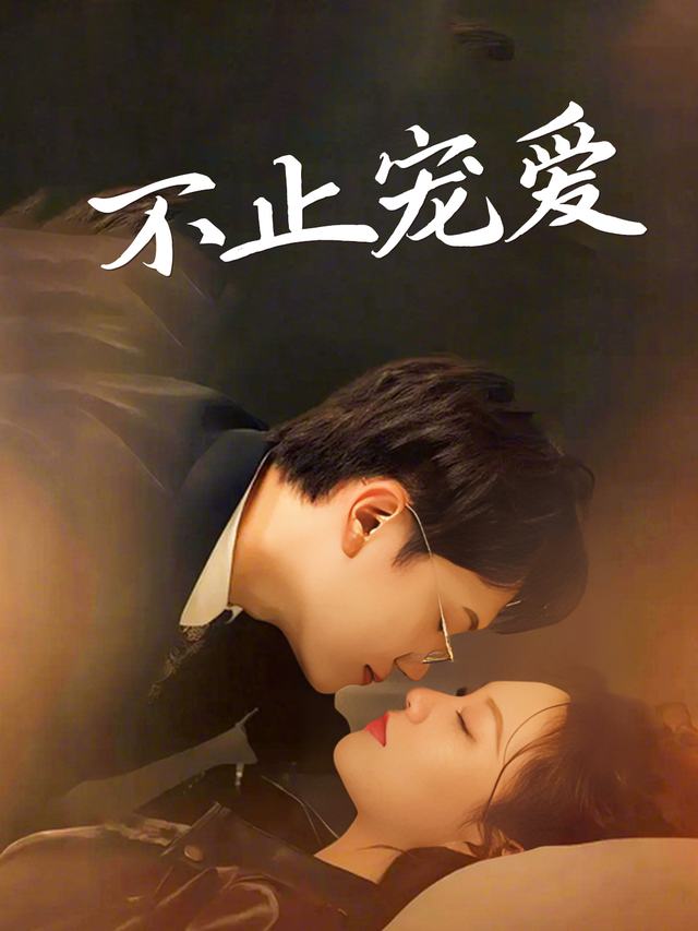 不止宠爱封面