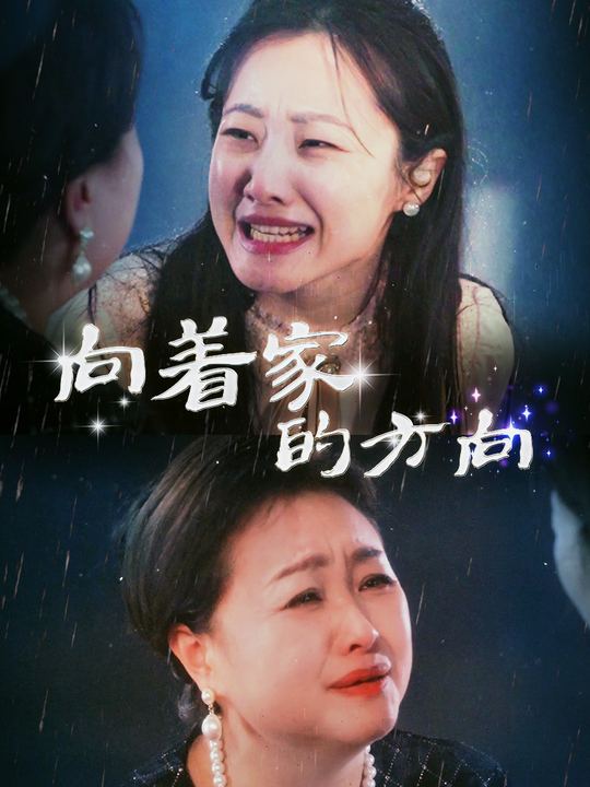 向着家的方向封面