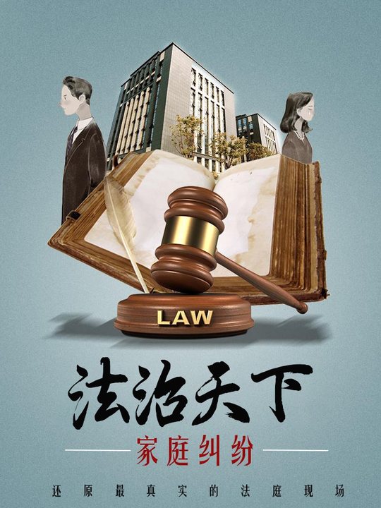 法治天下:家庭纠纷(3)封面