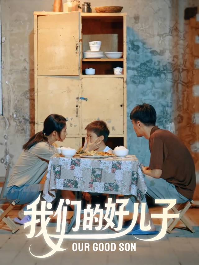 我们的好儿子封面