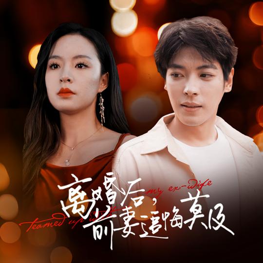 离婚后,前妻追悔莫及封面