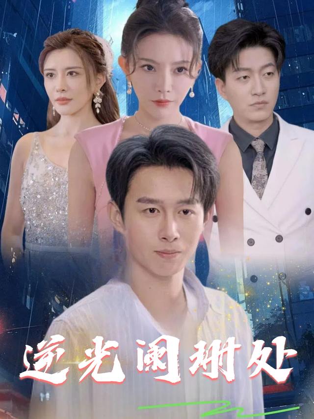 逆光阑珊处封面