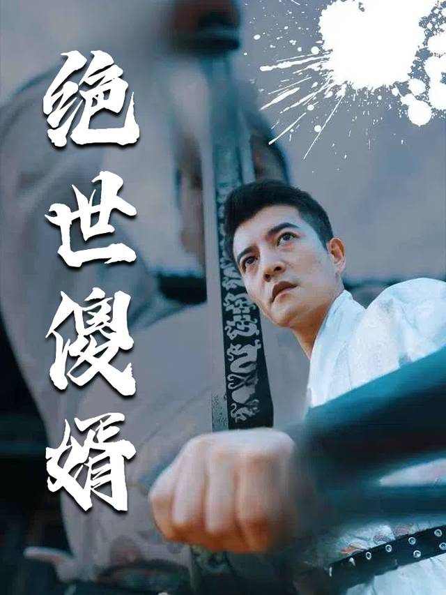 绝世傻婿封面