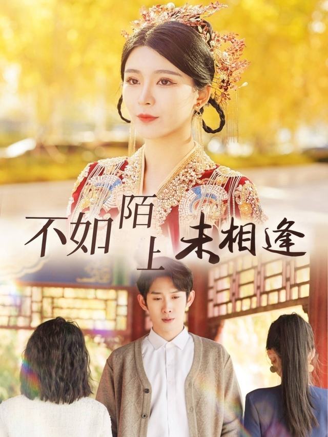 不如陌上未相逢封面