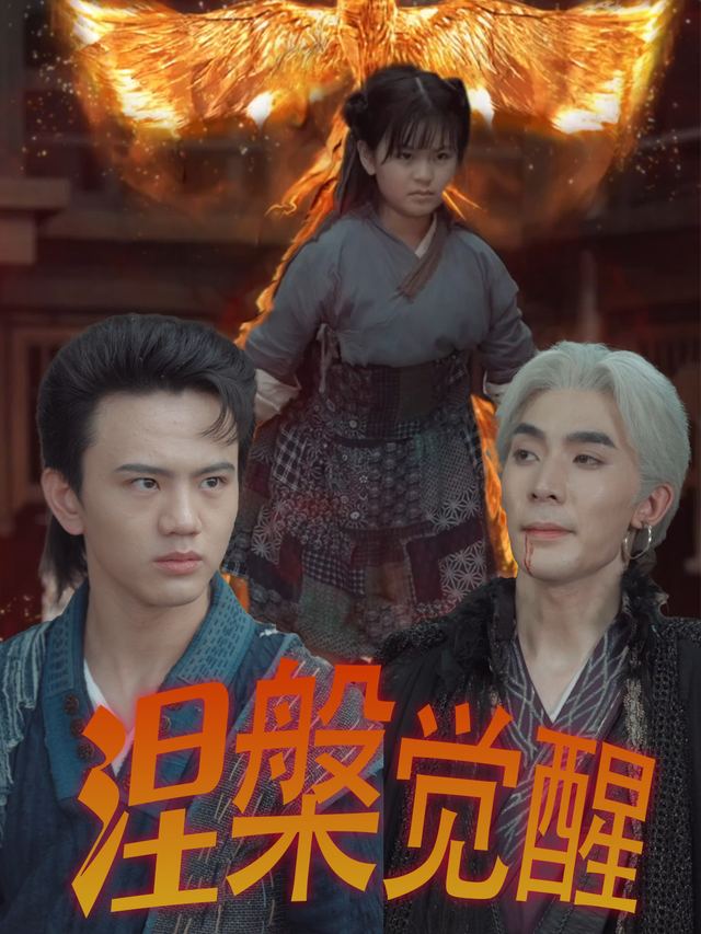 涅槃觉醒封面