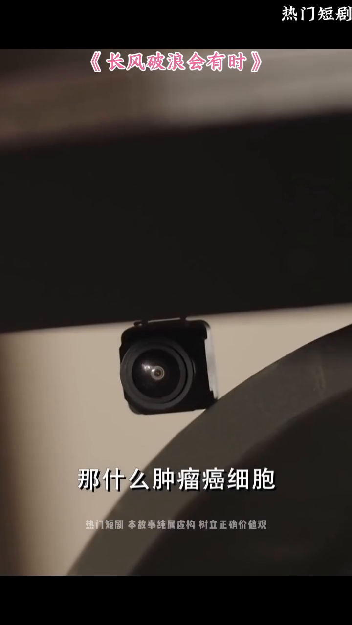 长风破浪会有时封面