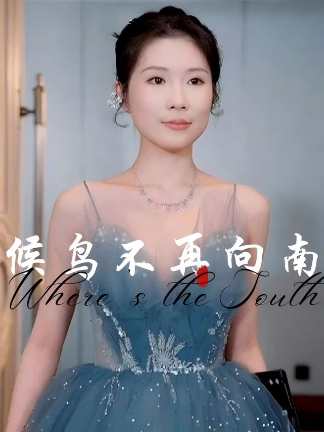 候鸟不再向南封面