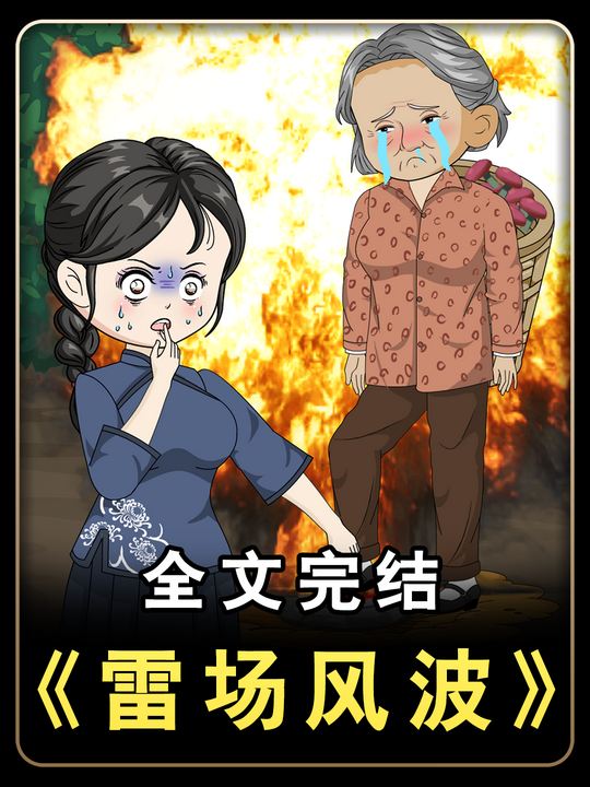雷场风波封面