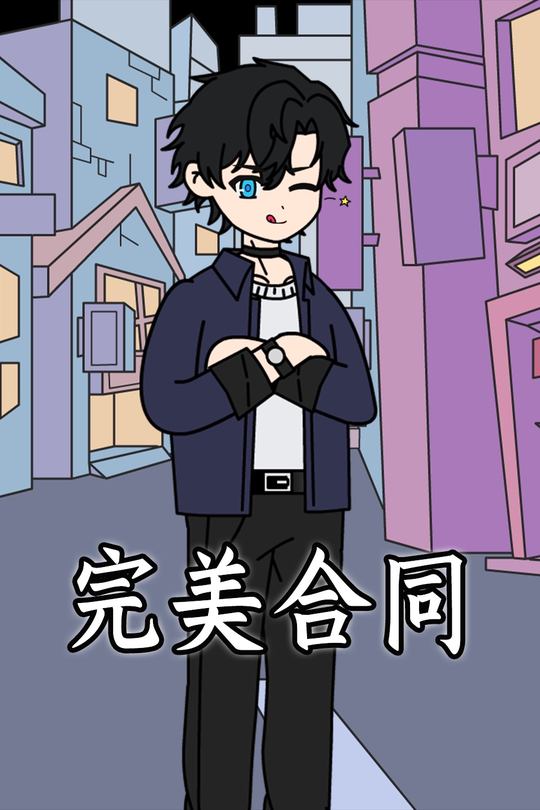 完美合同封面