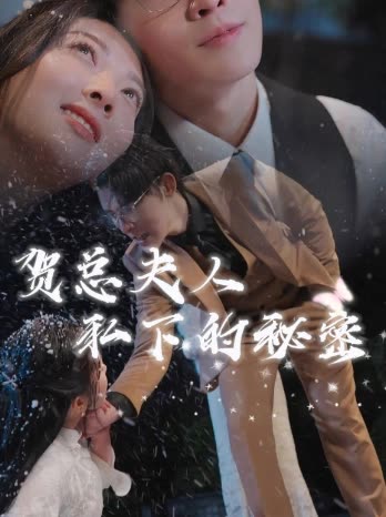 贺总夫人的私下秘密封面