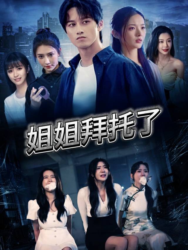 姐姐拜托了封面