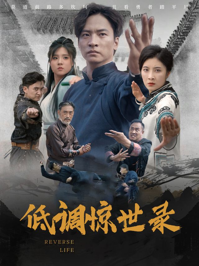 低调惊世录封面