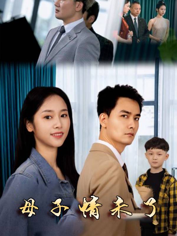 母子情未了封面
