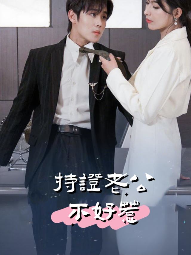 持证老公不好惹封面