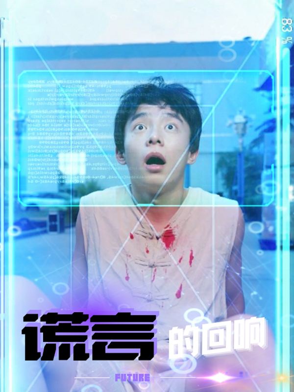 谎言的回响封面