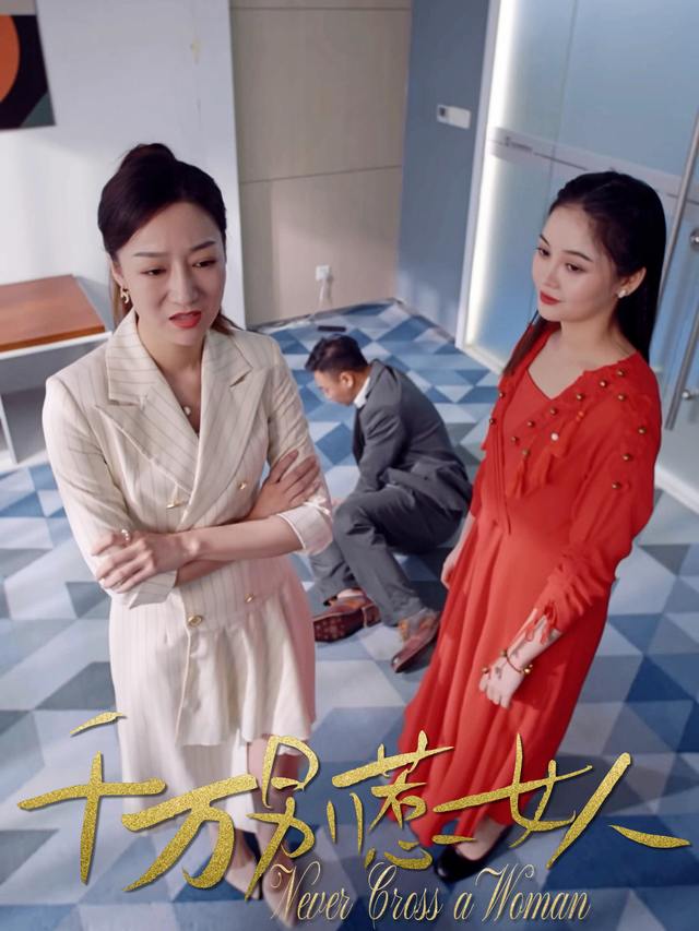 千万别惹女人封面