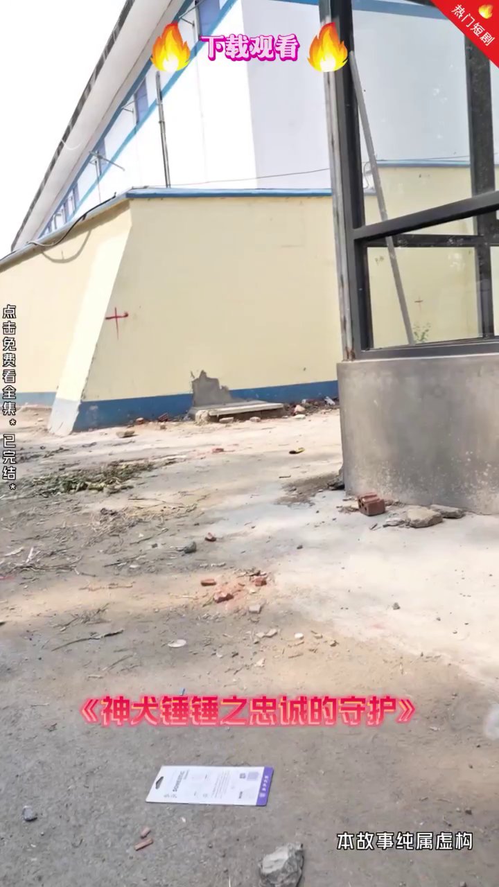神犬锤锤之忠诚的守护封面