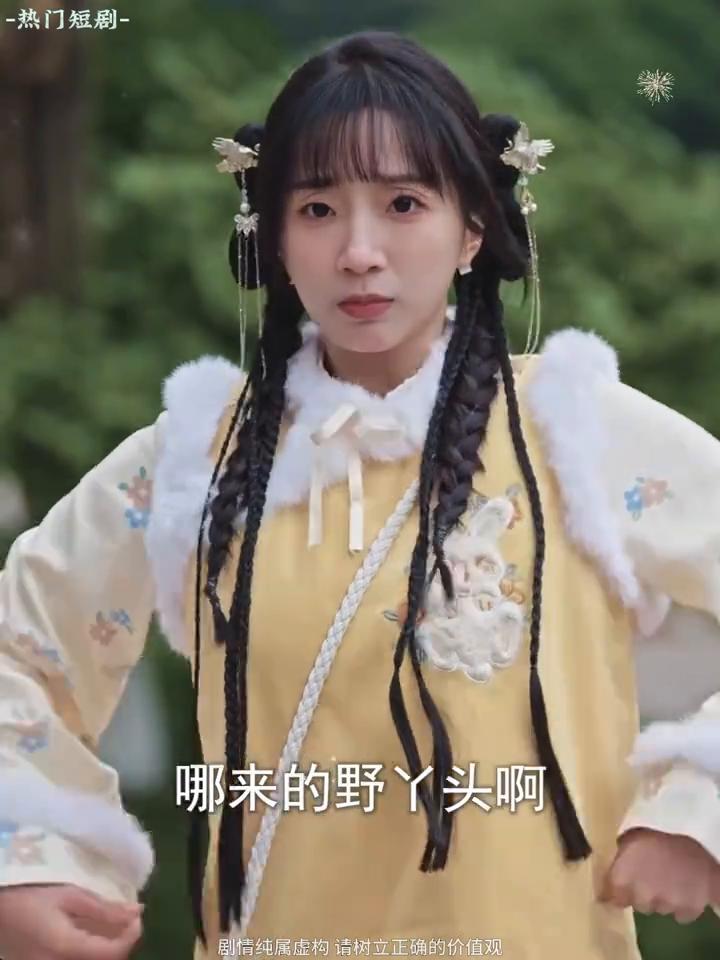 小厨聚千财封面