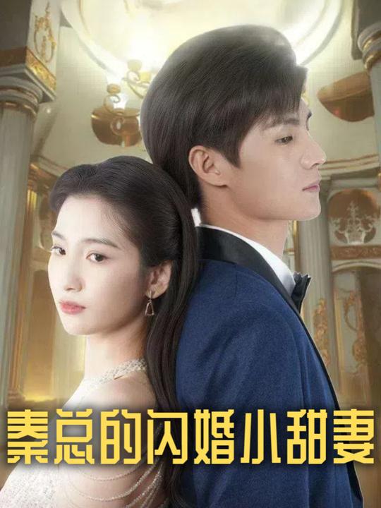 秦总的闪婚小甜妻封面