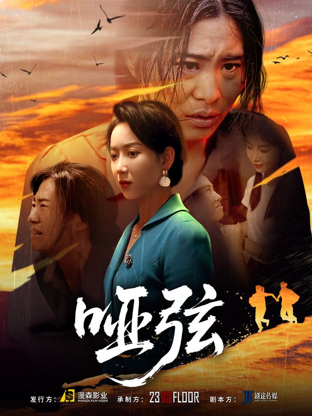 哑弦封面