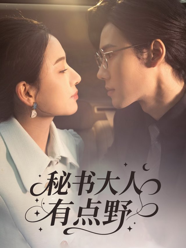 秘书大人有点野封面