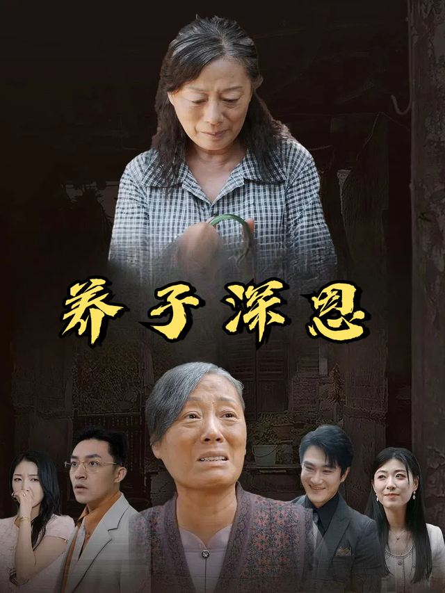 养子深恩封面