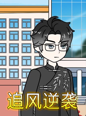 追风逆袭封面