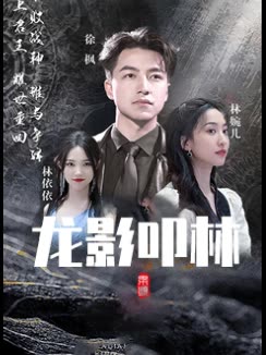 龙影叩林封面