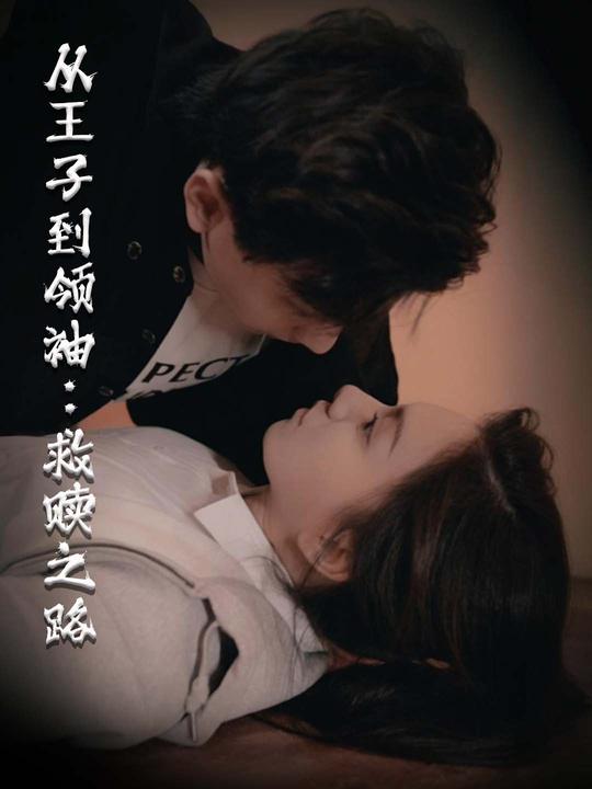 从王子到领袖:救赎之路封面