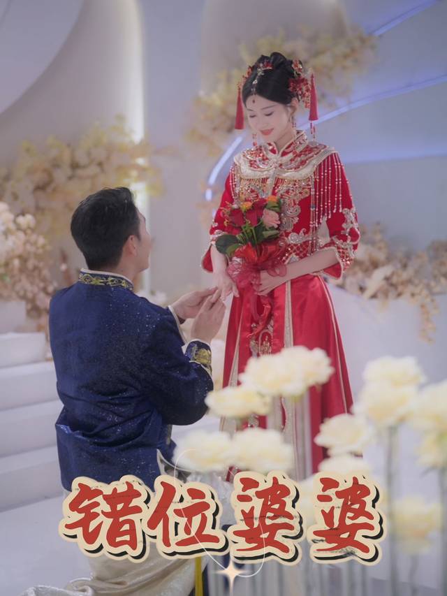 错位婆婆封面