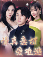 情真意切爱难逃封面