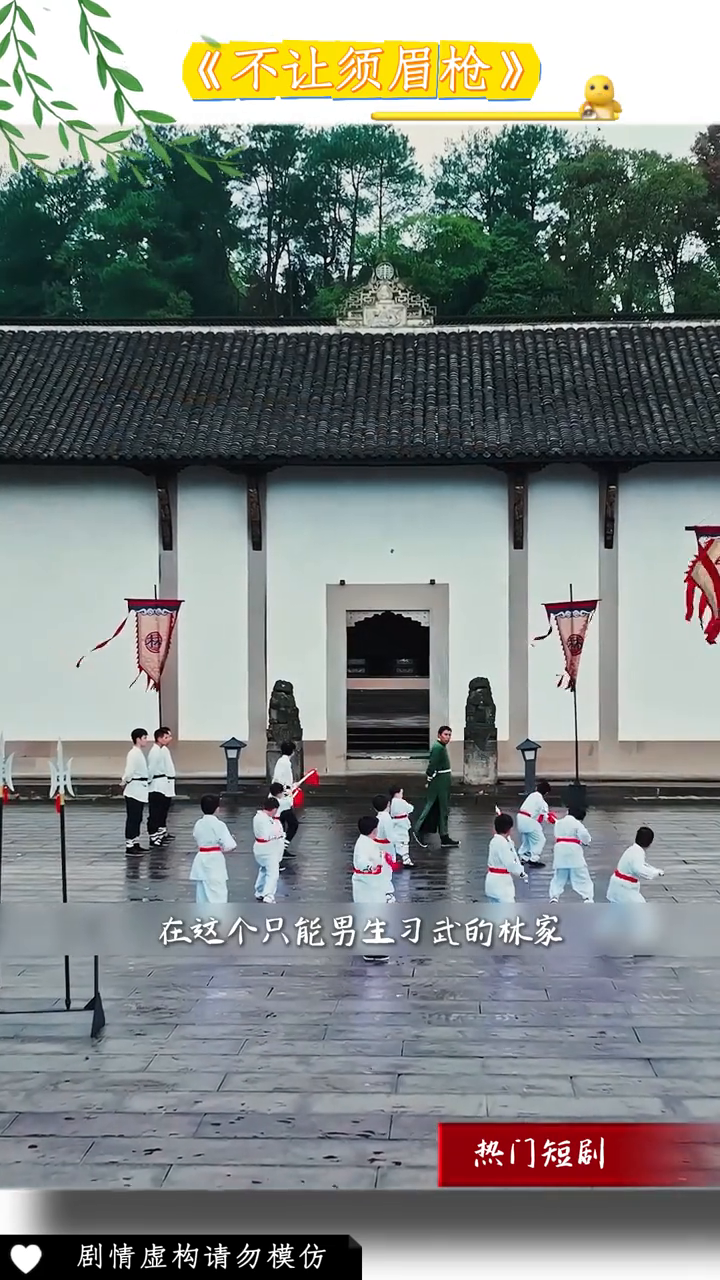 不让须眉枪封面