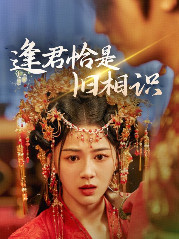 逢君恰是旧相识封面