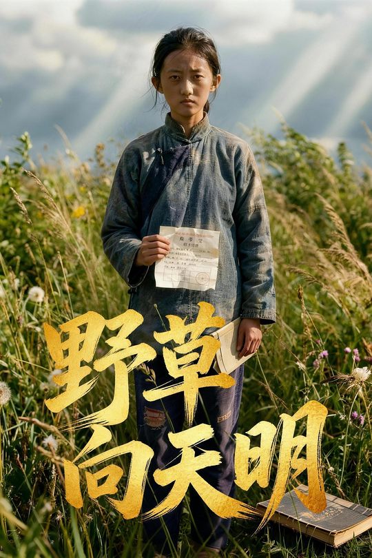 野草向天明封面