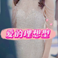 爱的理想型封面