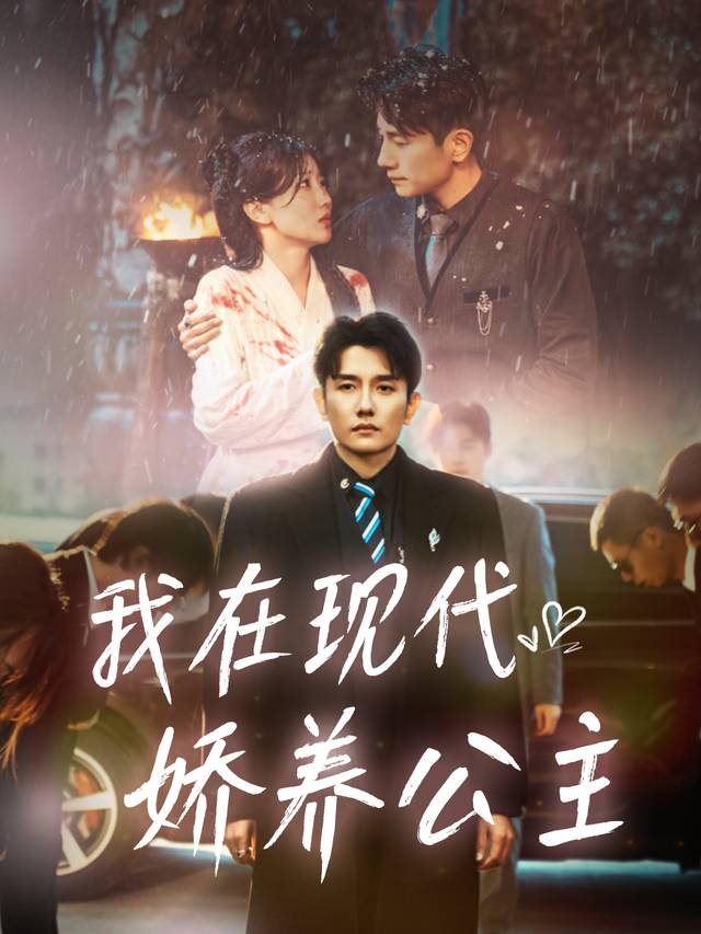 跨时空守护：娇养古代公主的现代恋曲封面