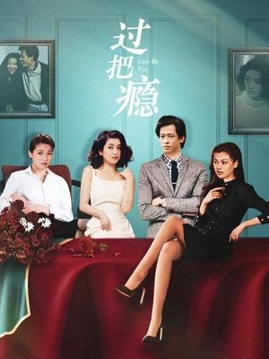 电视剧过把瘾封面