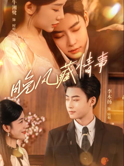 晚风藏情事封面