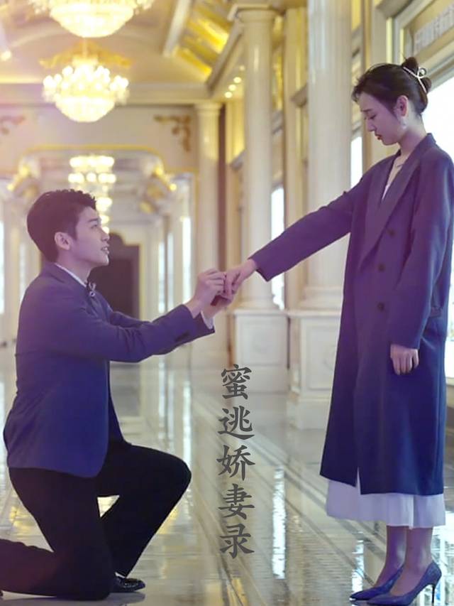 蜜逃娇妻录封面