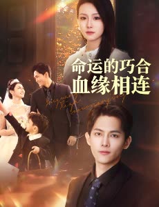 命运的巧合血缘相连封面