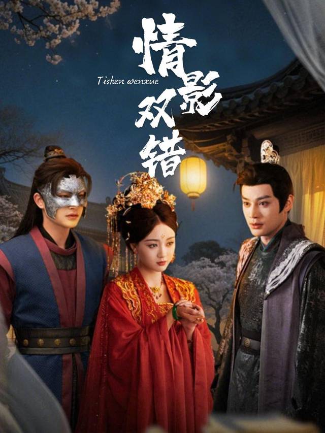 情影双错封面