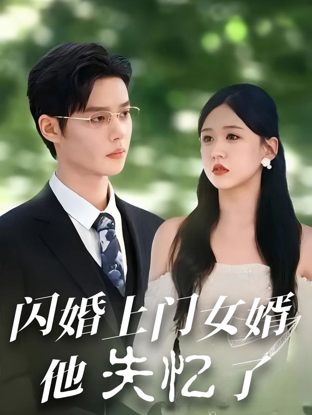 闪婚上门女婿他失忆了封面