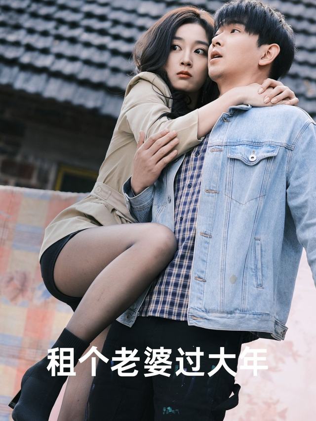租个老婆过大年封面