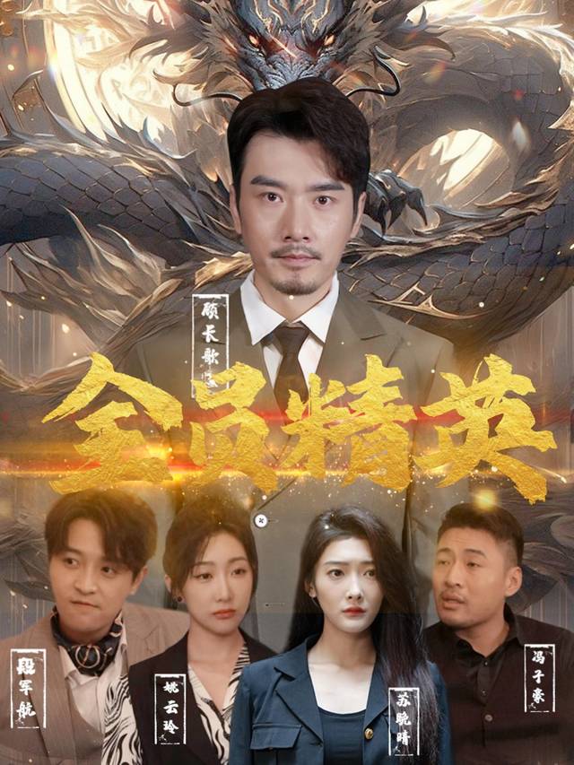 全员精英封面